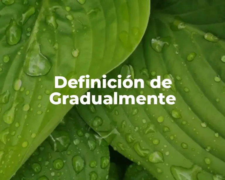 Definición de Gradualmente