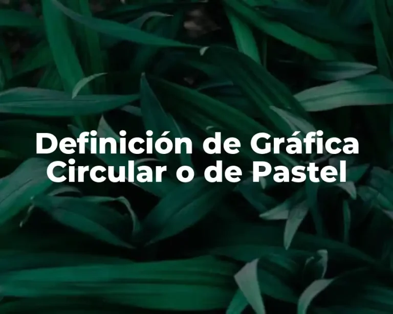 Definición de Gráfica Circular o de Pastel