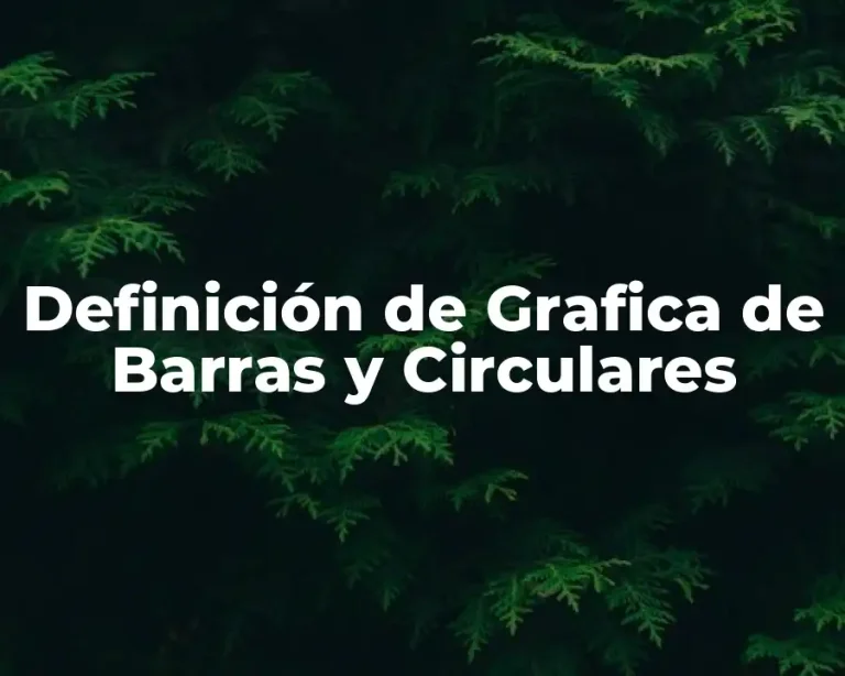 Definición de Grafica de Barras y Circulares
