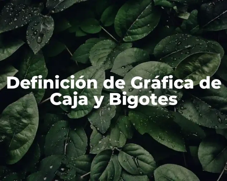 Definición de Gráfica de Caja y Bigotes