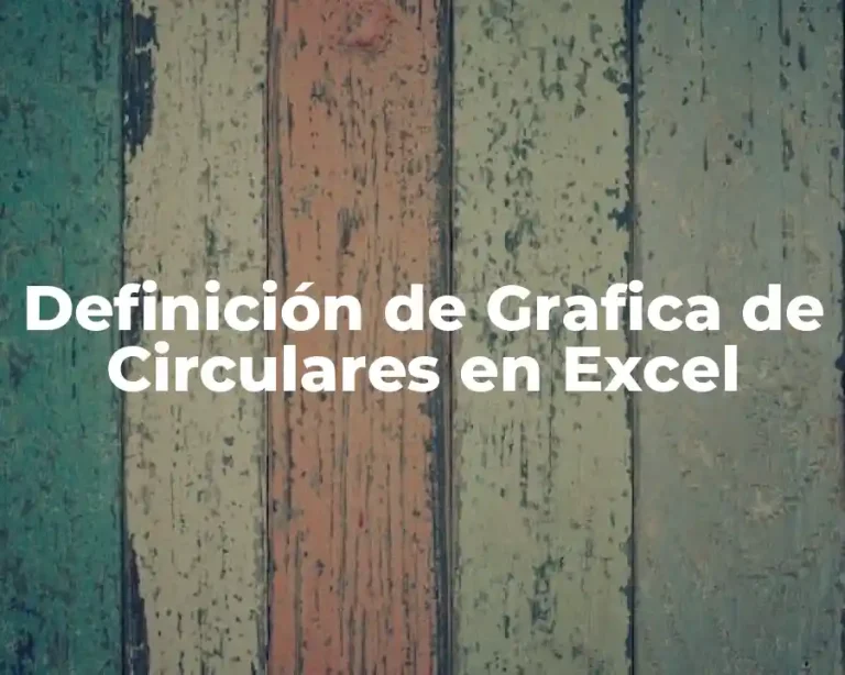 Definición de Grafica de Circulares en Excel