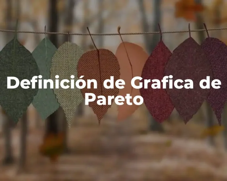 Definición de Grafica de Pareto