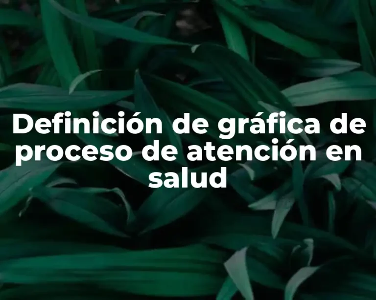 Definición de gráfica de proceso de atención en salud