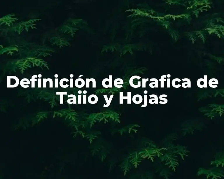 Definición de Grafica de Taiio y Hojas
