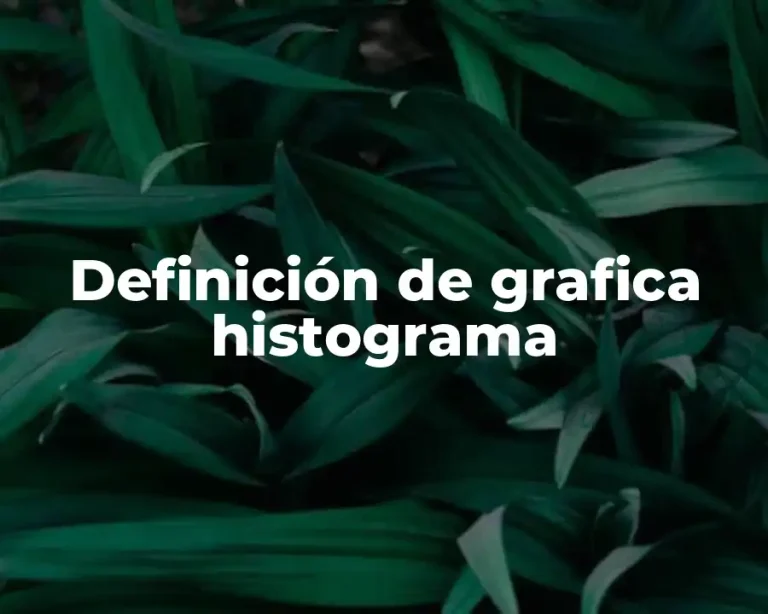 Definición de grafica histograma