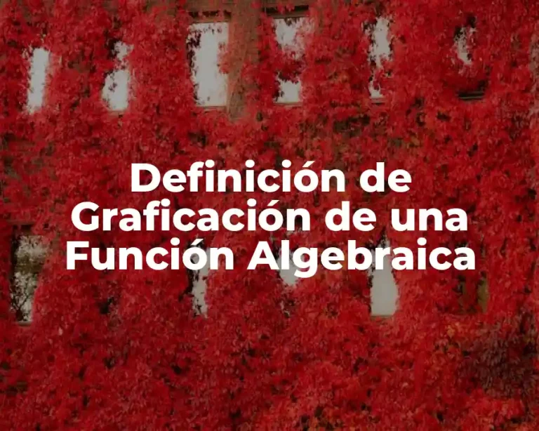 Definición de Graficación de una Función Algebraica