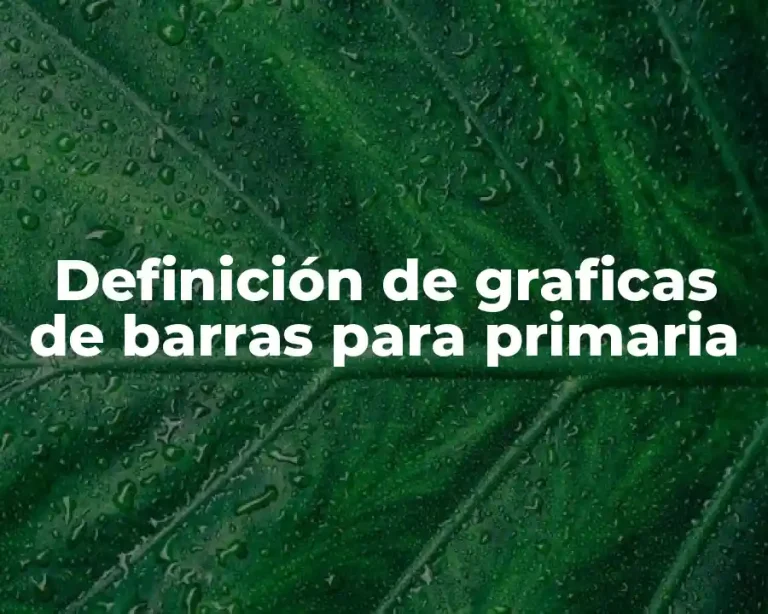 Definición de graficas de barras para primaria