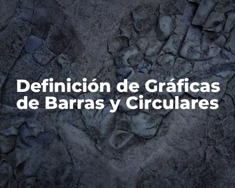 Definición de Gráficas de Barras y Circulares