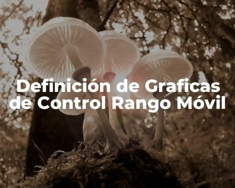Definición de Graficas de Control Rango Móvil