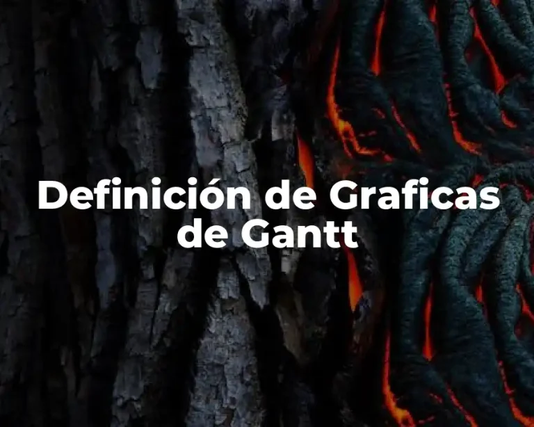 Definición de Graficas de Gantt