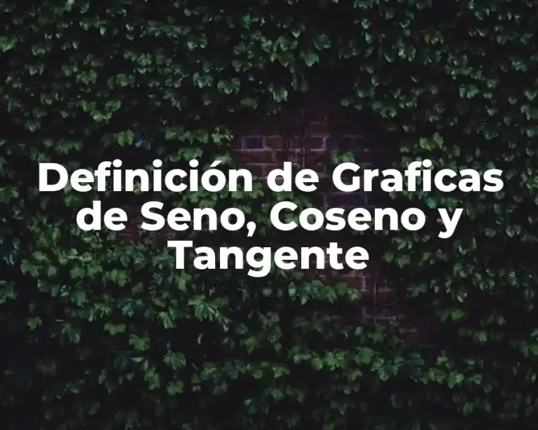 Definición de Graficas de Seno, Coseno y Tangente