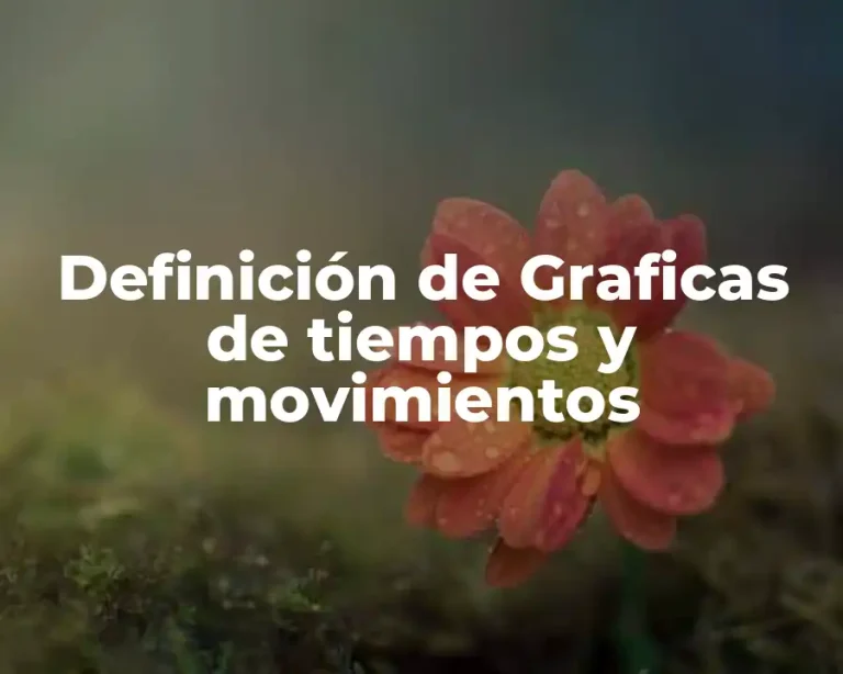 Definición de Graficas de tiempos y movimientos