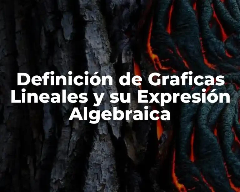 Definición de Graficas Lineales y su Expresión Algebraica