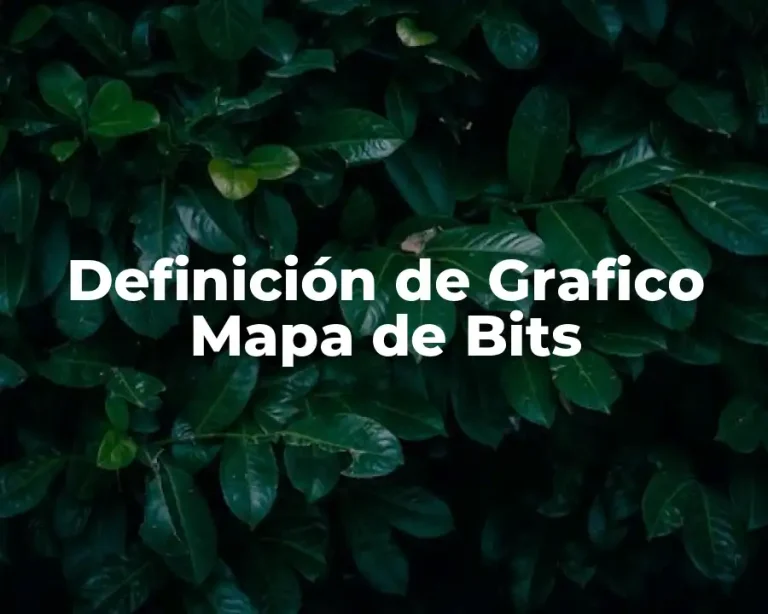Definición de Grafico Mapa de Bits