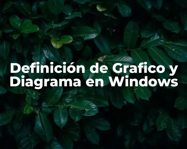 Definición de Grafico y Diagrama en Windows