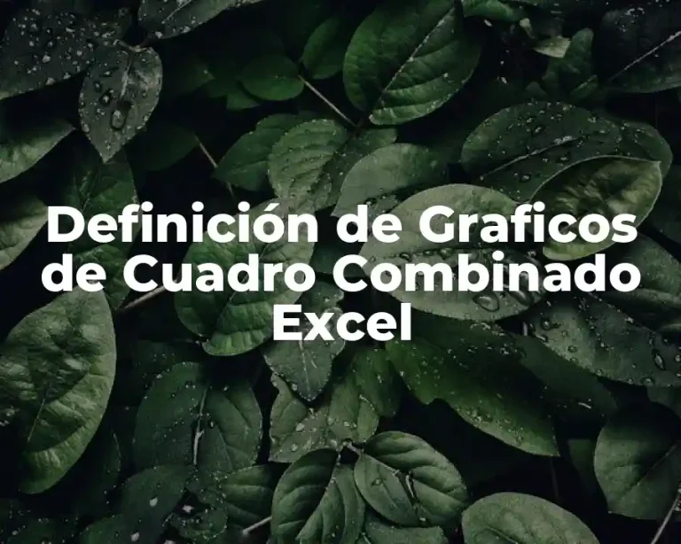 Definición de Graficos de Cuadro Combinado Excel