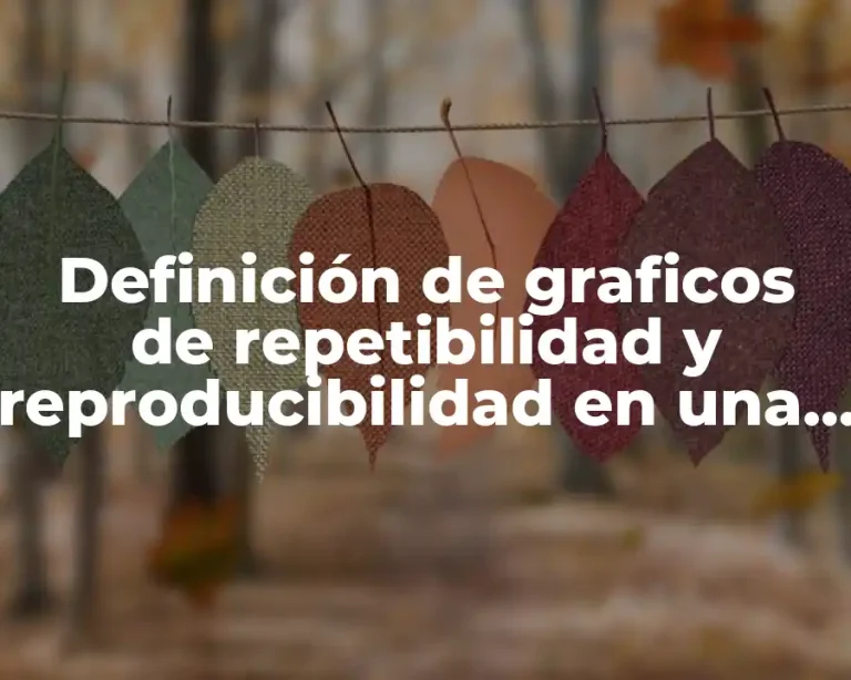 Definición de graficos de repetibilidad y reproducibilidad en una empresa