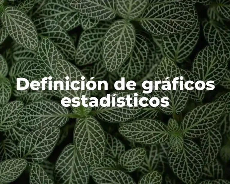 Definición de gráficos estadísticos
