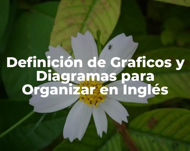 Definición de Graficos y Diagramas para Organizar en Inglés