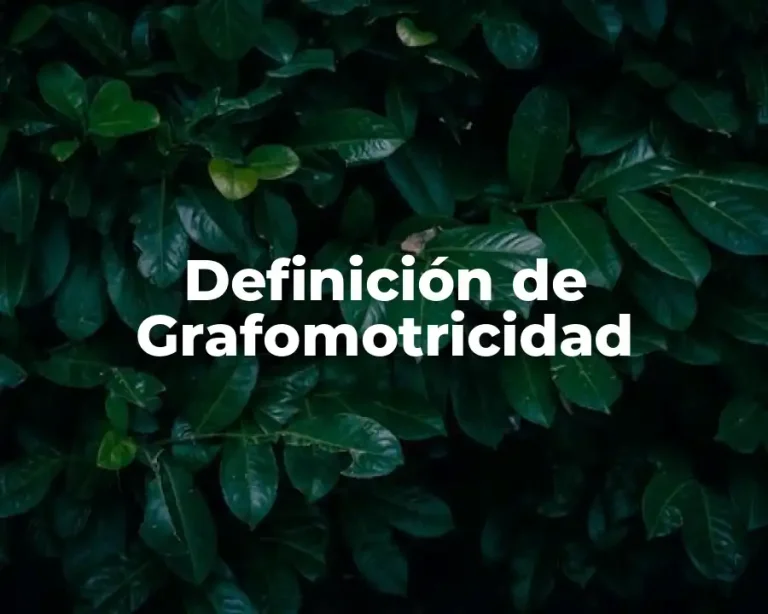 Definición de Grafomotricidad