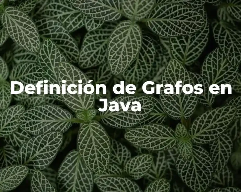 Definición de Grafos en Java