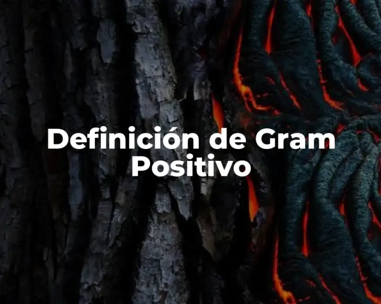 Definición de Gram Positivo