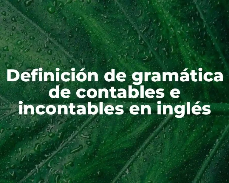 Definición de gramática de contables e incontables en inglés