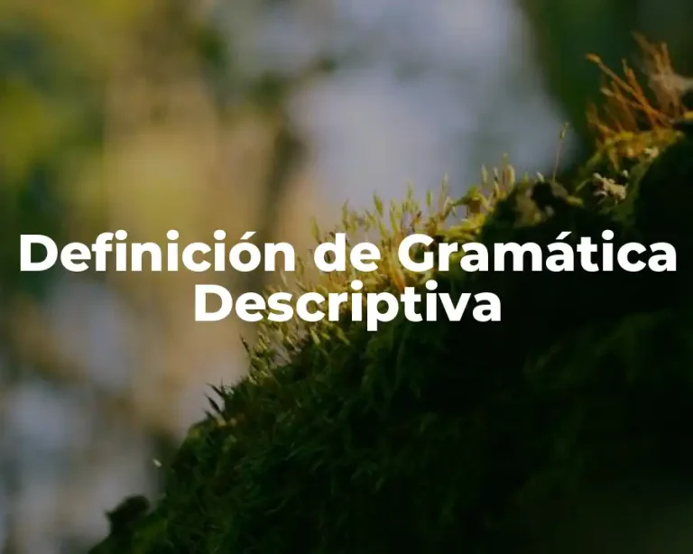 Definición de Gramática Descriptiva