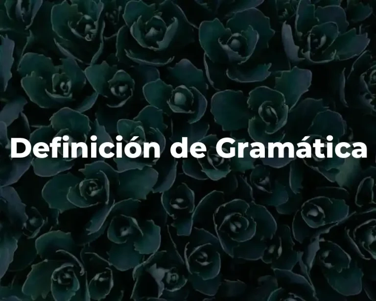Definición de Gramática