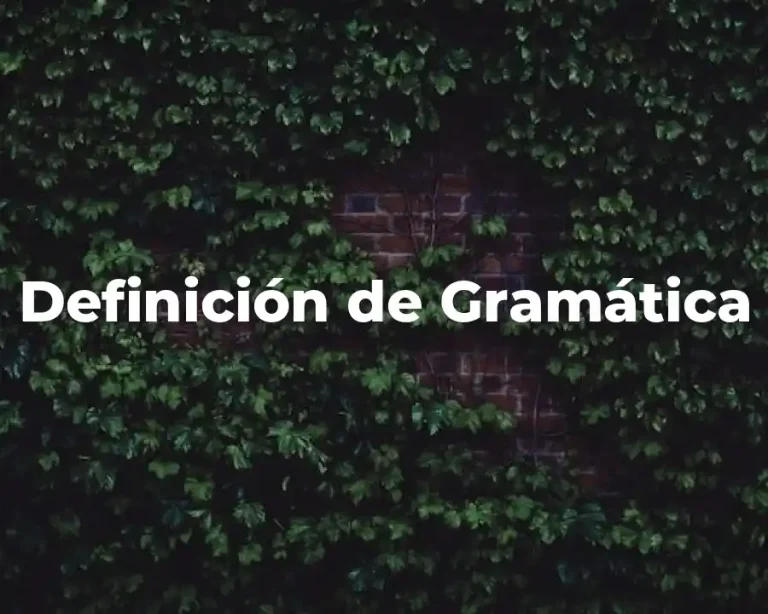 Definición de Gramática