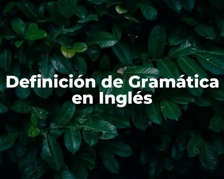 Definición de Gramática en Inglés