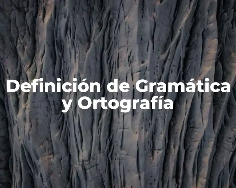 Definición de Gramática y Ortografía