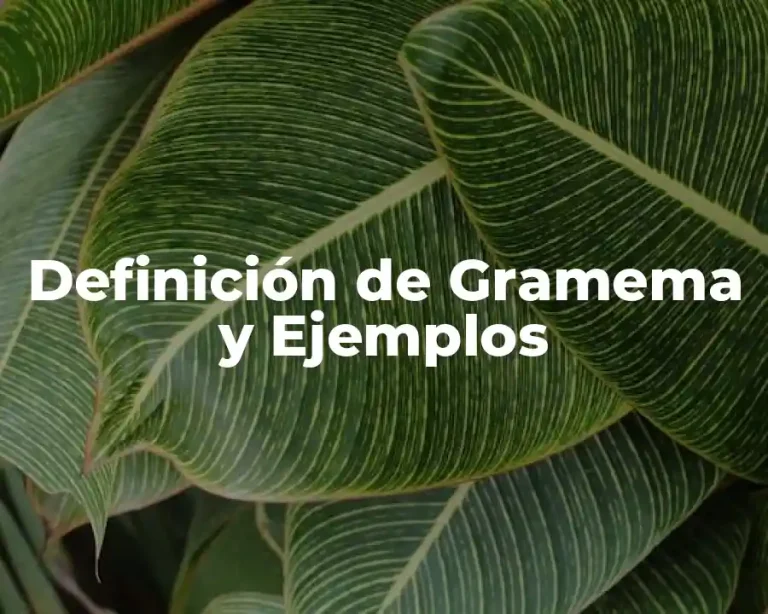 Definición de Gramema y Ejemplos