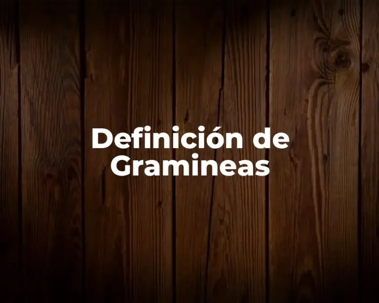 Definición de Gramineas