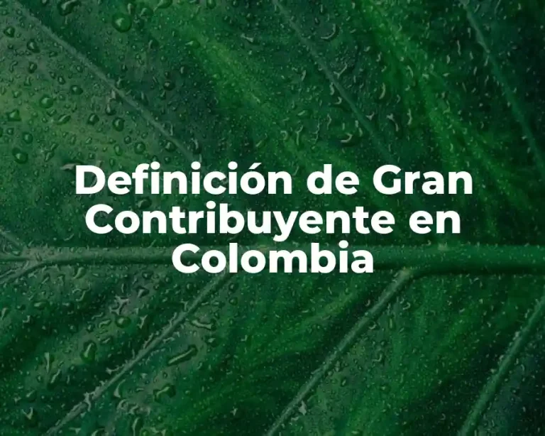 Definición de Gran Contribuyente en Colombia