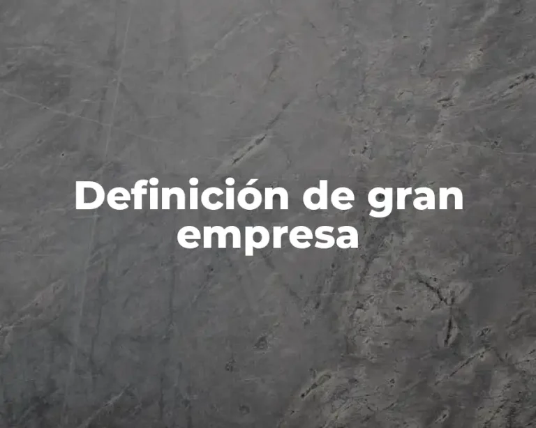 Definición de gran empresa