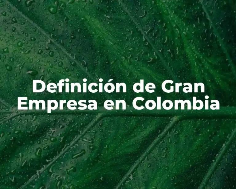 Definición de Gran Empresa en Colombia