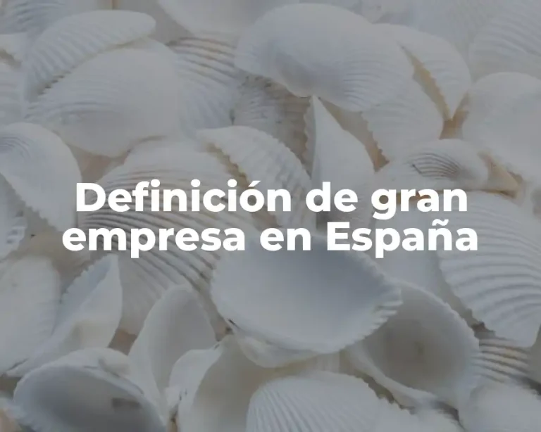 Definición de gran empresa en España