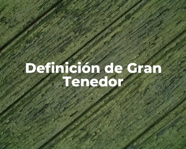 Definición de Gran Tenedor