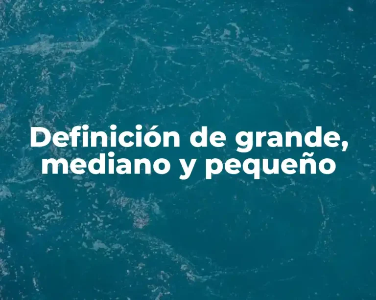 Definición de grande, mediano y pequeño
