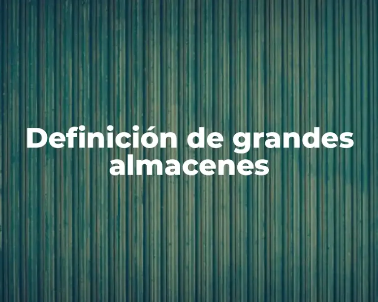 Definición de grandes almacenes