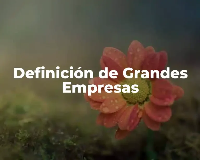 Definición de Grandes Empresas