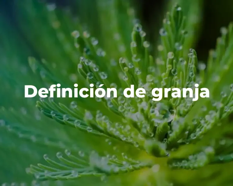 Definición de granja