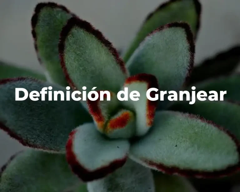 Definición de Granjear