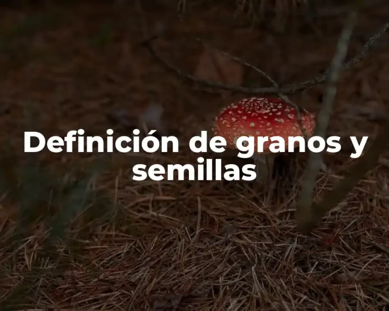Definición de granos y semillas