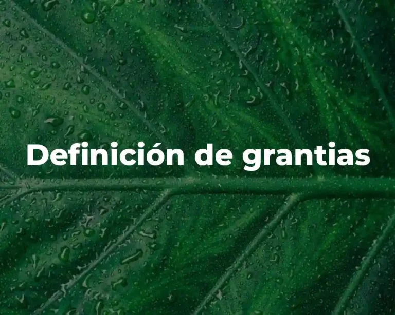 Definición de grantias
