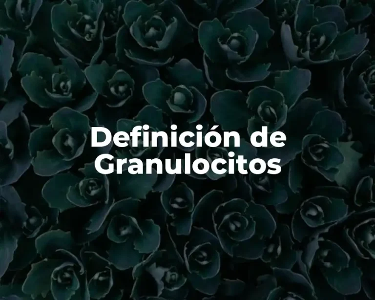 Definición de Granulocitos