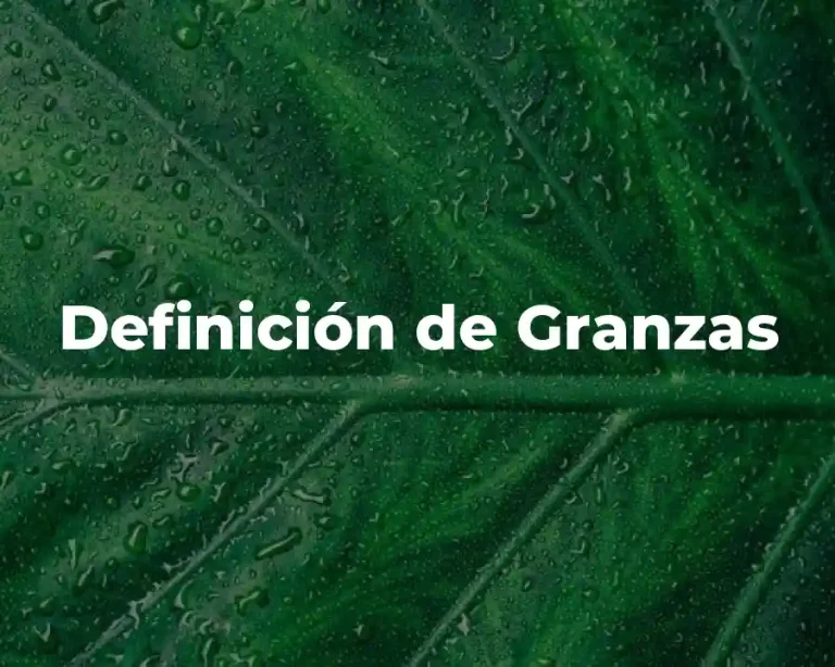 Definición de Granzas