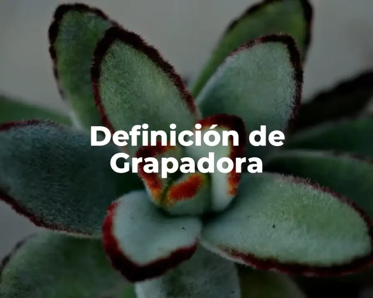 Definición de Grapadora