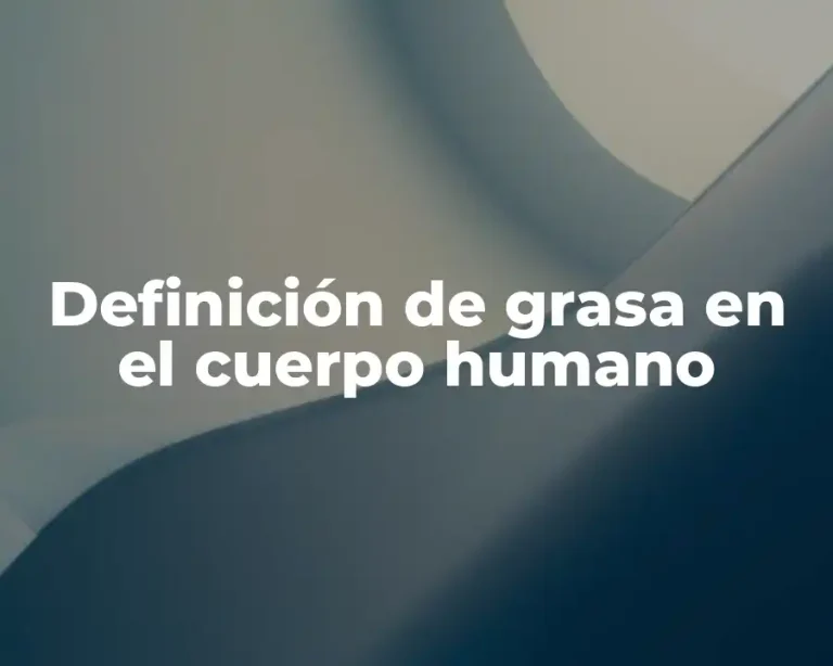 Definición de grasa en el cuerpo humano